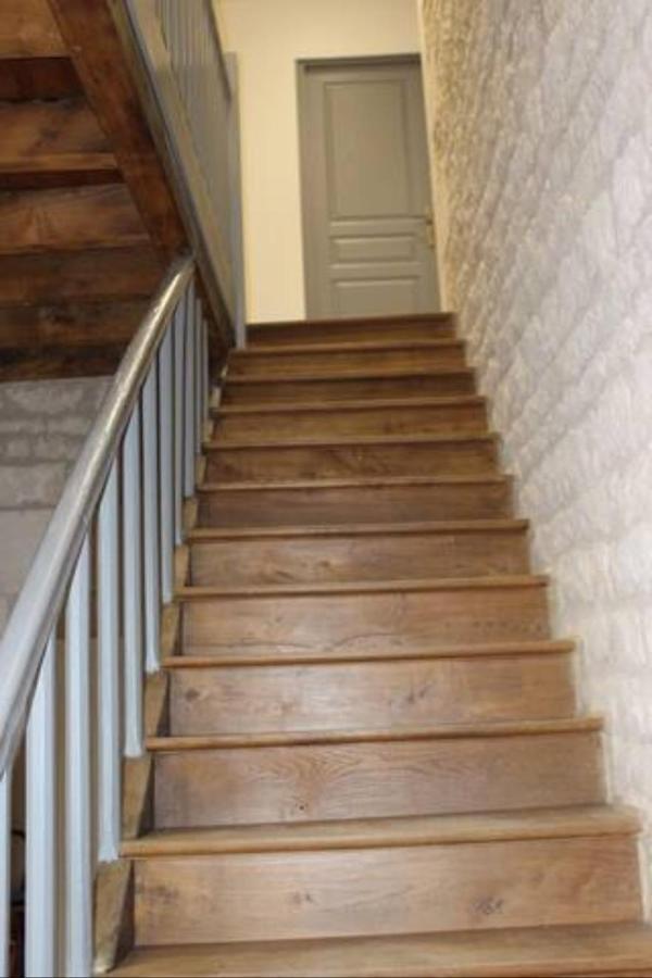 Château des Loups - Les Cèdres Bleus Echire Extérieur photo