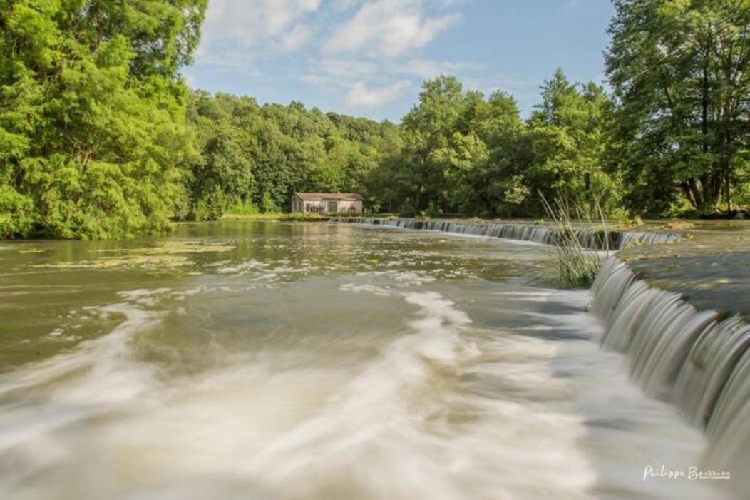 Château des Loups - Les Cèdres Bleus Echire Extérieur photo